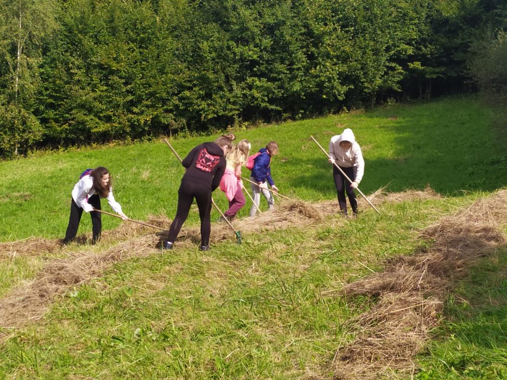 Projektové dny - enviromentální vzdělávání