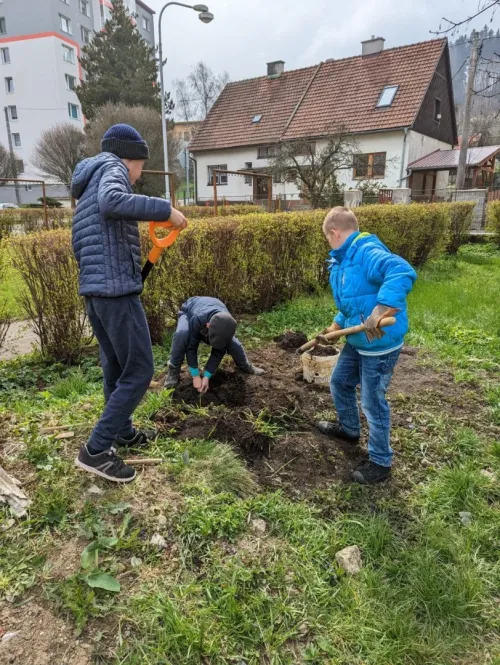 Pracovní činnosti ve 4. třídě